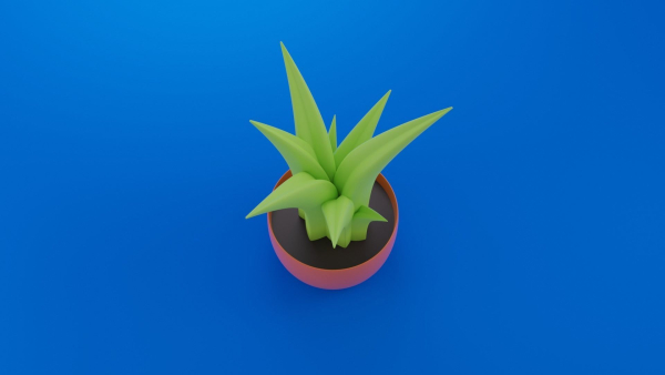 Cartoon plant