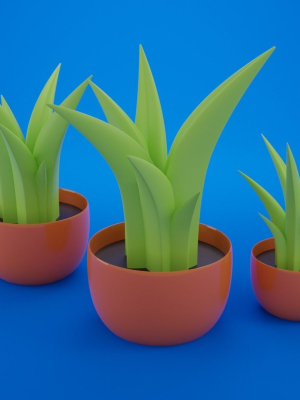Cartoon plant