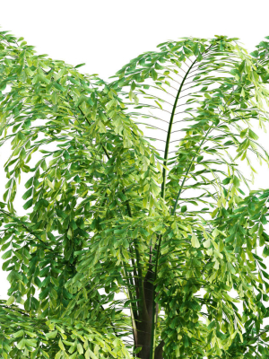caryota-gigas-giant-fishtail-palm-caryota-mitis-01-3d-model