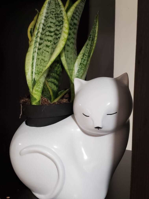 cat-planter-or-candle-3d-model-stl-for-3d-printing-3d-model-obj-fbx-stl