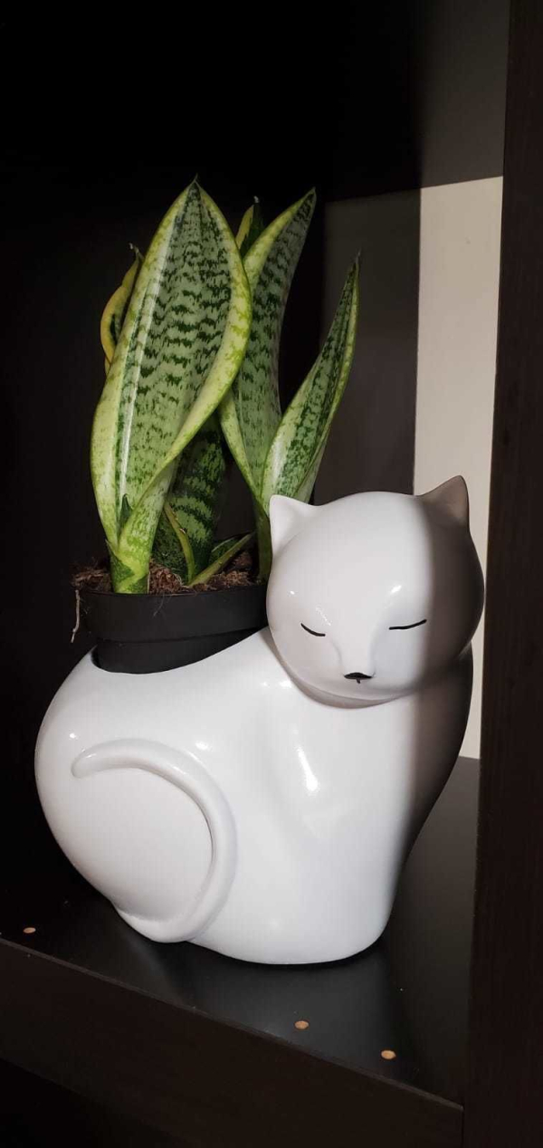 Cat planter or candle 3d model stl for 3d printing