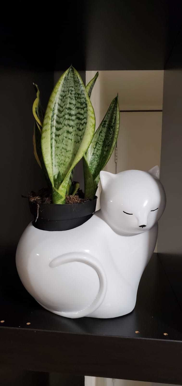 Cat planter or candle 3d model stl for 3d printing