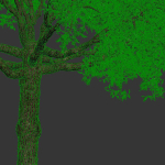 Ceiba  Pentandra Two tree set
