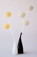 Ceramic vases and flowers