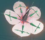 Cherry blossom