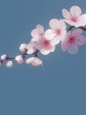 cherry-blossom-branch-animation-3d-model-animated-rigged-fbx-blend