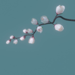 cherry blossom branch animation
