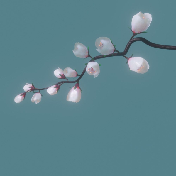 cherry blossom branch animation
