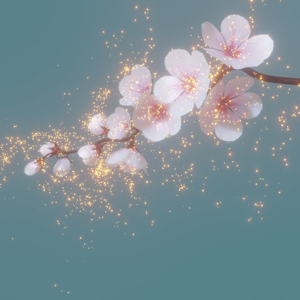 cherry blossom branch animation