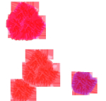 cherry blossom branch animation