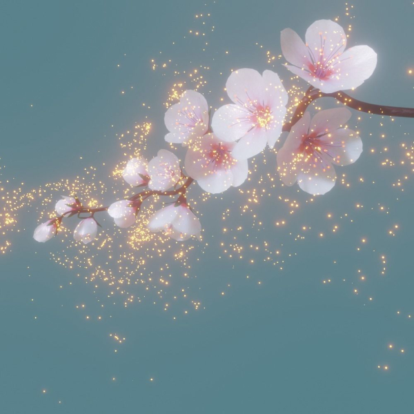 cherry blossom branch animation
