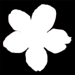 Cherry flowering Pack 01