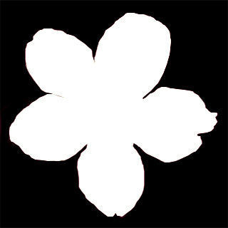 Cherry flowering Pack 01