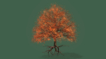 Cherry Tree