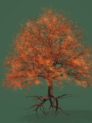 cherry-tree-3d-model-fbx