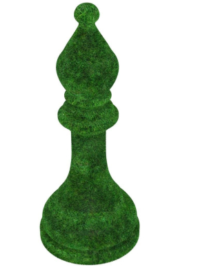chess-shapes-bushes-set-3d-model-694c6a79ae