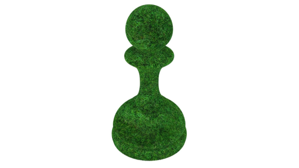 Chess Shapes Bushes Set