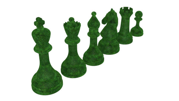 Chess Shapes Bushes Set