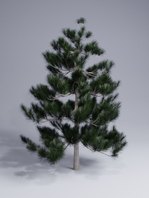 christmas-pine-tree-3d-model-obj-fbx-stl-blend-dae
