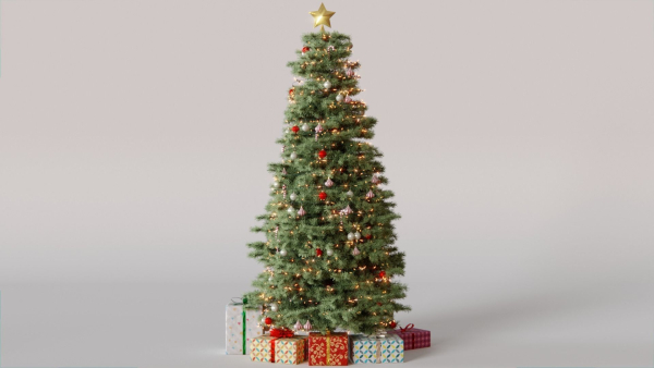 Christmas Tree 3d Model