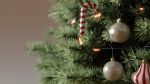 Christmas Tree 3d Model