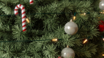 Christmas Tree 3d Model