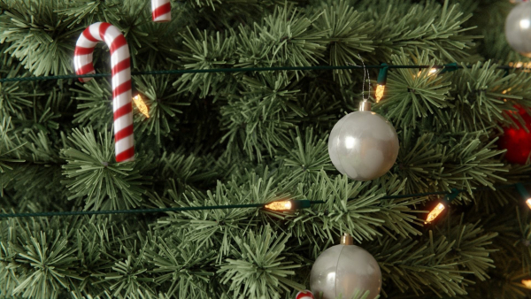Christmas Tree 3d Model