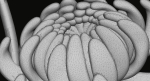 Chrysanthemum Pendant