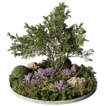 Circle Garden Plants - Outdoor Plants 201