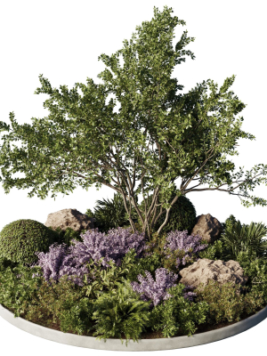 Circle Garden Plants - Outdoor Plants 201