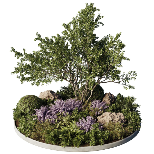 Circle Garden Plants - Outdoor Plants 201