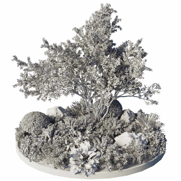 Circle Garden Plants - Outdoor Plants 201