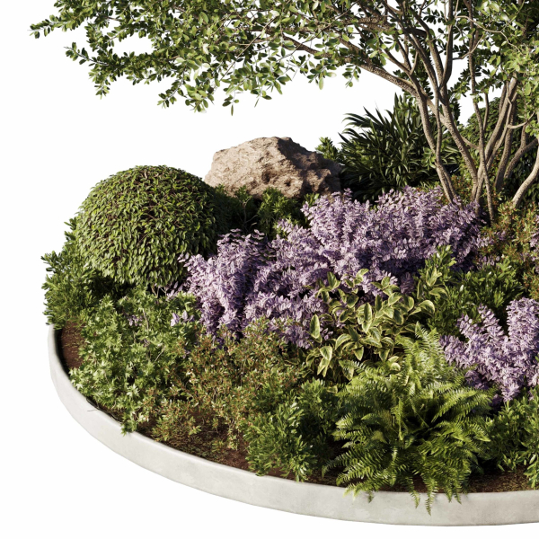 Circle Garden Plants - Outdoor Plants 201