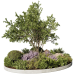 Circle Garden Plants - Outdoor Plants 201