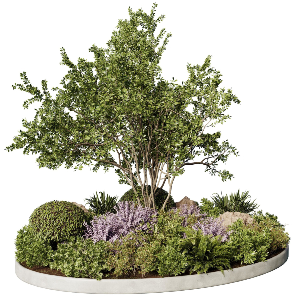 Circle Garden Plants - Outdoor Plants 201