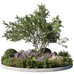 Circle Garden Plants - Outdoor Plants 201