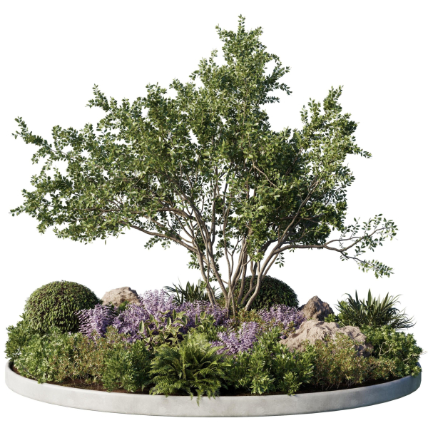 Circle Garden Plants - Outdoor Plants 201