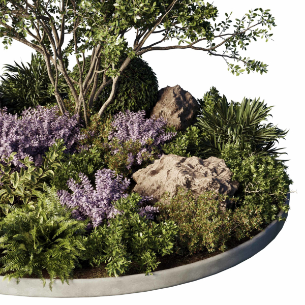 Circle Garden Plants - Outdoor Plants 201