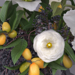 Classy Elegant Amaryllis Flowers-Fruit Vase