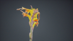 Close Up African Flag Cornflag Chasmanthe Floribunda
