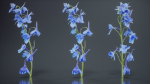 Close Up Candle Larkspur Dark Blue Alpine Bee Delphinium Elatum
