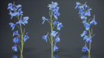 Close Up Candle Larkspur Dark Blue Alpine Bee Delphinium Elatum