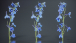 Close Up Candle Larkspur Dark Blue Alpine Bee Delphinium Elatum