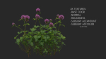 Clover Collection vol01
