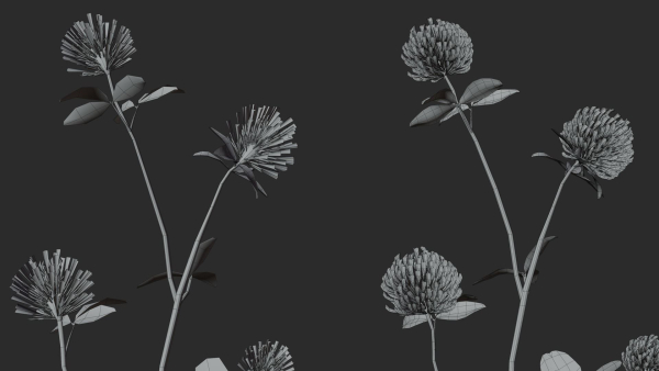 Clover Collection vol01