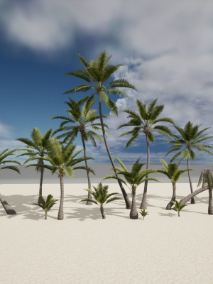 coconut-palm-3d-model-0ef334a02f