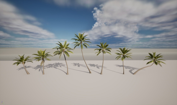 Coconut palm