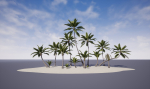 Coconut palm