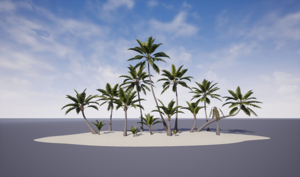 Coconut palm
