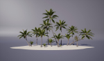 Coconut palm